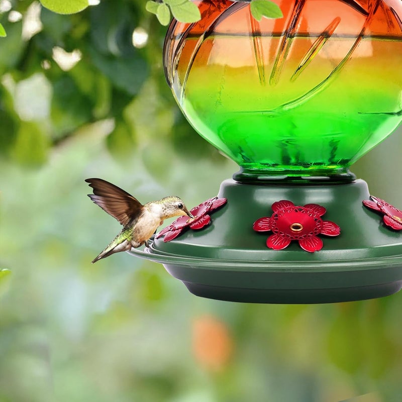 BOLITE Hummingbird Feeder, Glass Hummingbird Feeders for Outdoors Hanging, 22 Ounce, Five Feeding Ports with Perch, Peony Flower Shape, Orange and Green, Gifts for Women Men, Gifts for Mom Dad - Image 4